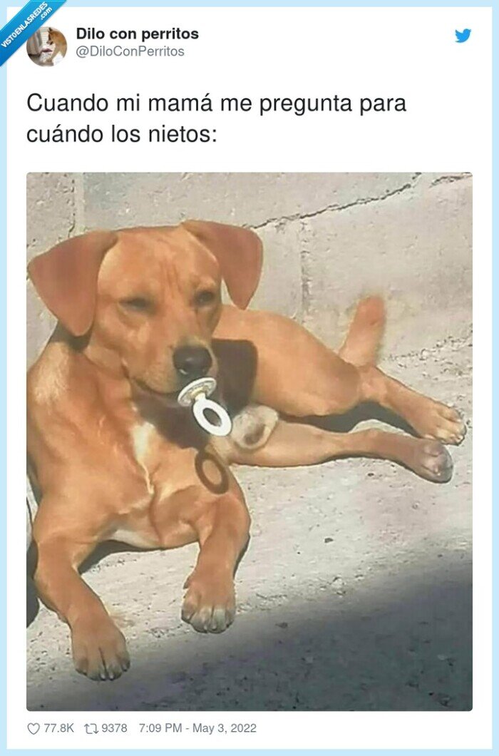 preguntar,cu&aacute;ndo,nietos,mam&aacute;,perro,chupete
