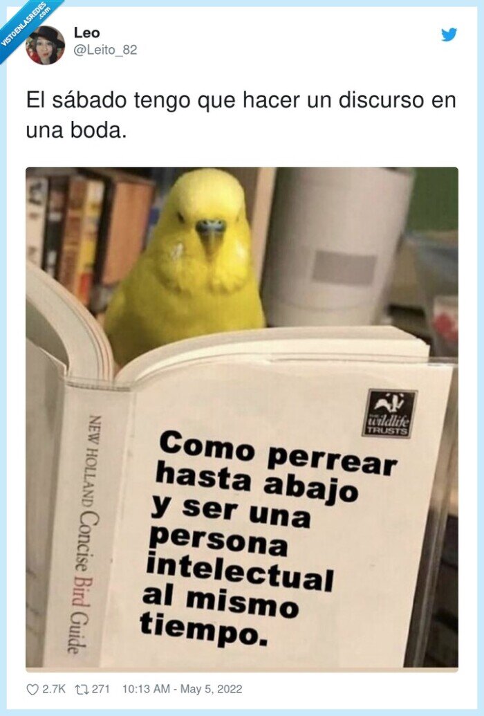 discurso,sábado,hacer,boda