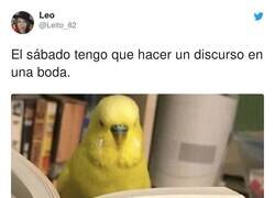 Enlace a Mi vida en el titulo del libro, por @Leito_82