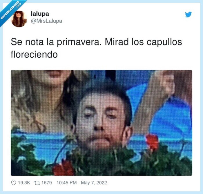 floreciendo,primavera,capuIlos,pablo motos