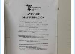 Enlace a Mucho ojo al cartel que tuvieron que poner en la Universidad de Sevilla ante tanto pajiIlero, por @eltrastamarista