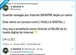 Enlace a Cómo eliminar el 99,9% de tu huella digital de Internet, por @Sdesalvaje