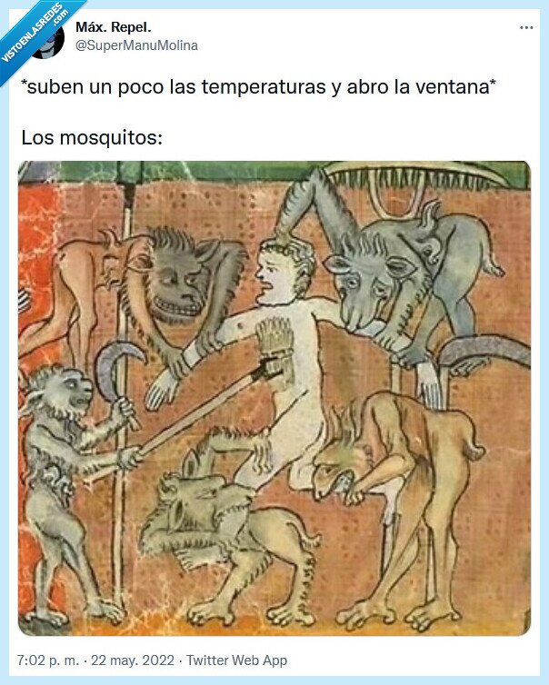 mosquitos,calor,verano,temperaturas,ventana