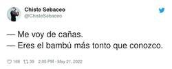 Enlace a De cañas, por @ChisteSebaceo