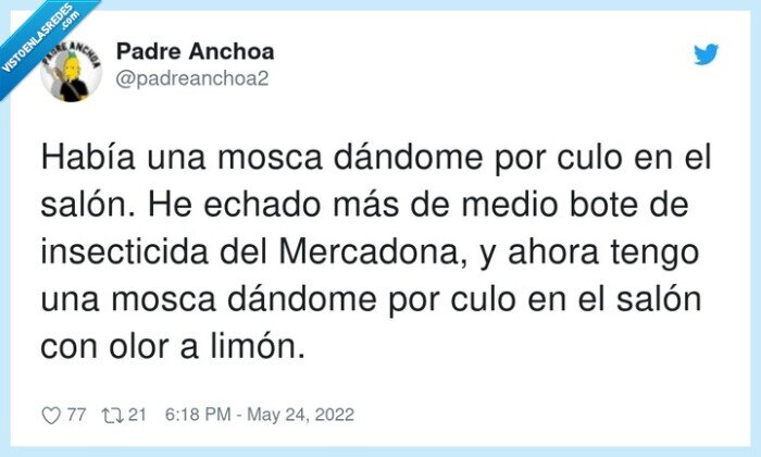 mosca,salón,insecticida