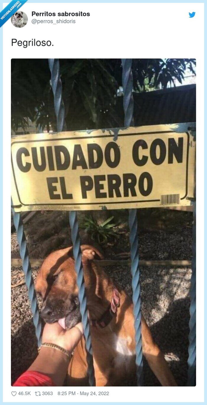 peligroso,perro,valla,cuidad,cartel