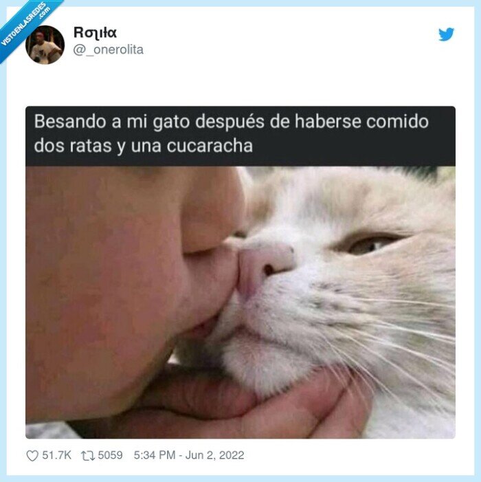 gato,besos,ratas,cucaracha