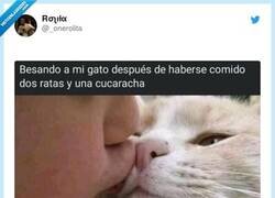 Enlace a Tú mismo, por @_onerolita