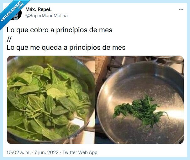 cobrar,principios,mes,quedar,dinero,espinacas