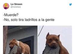 Enlace a Dime qué calle es por si acaso, por @notafaso