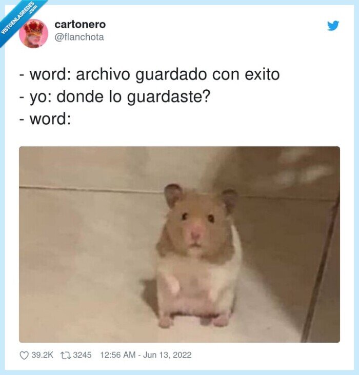 guardado,archivo,exito,donde,word