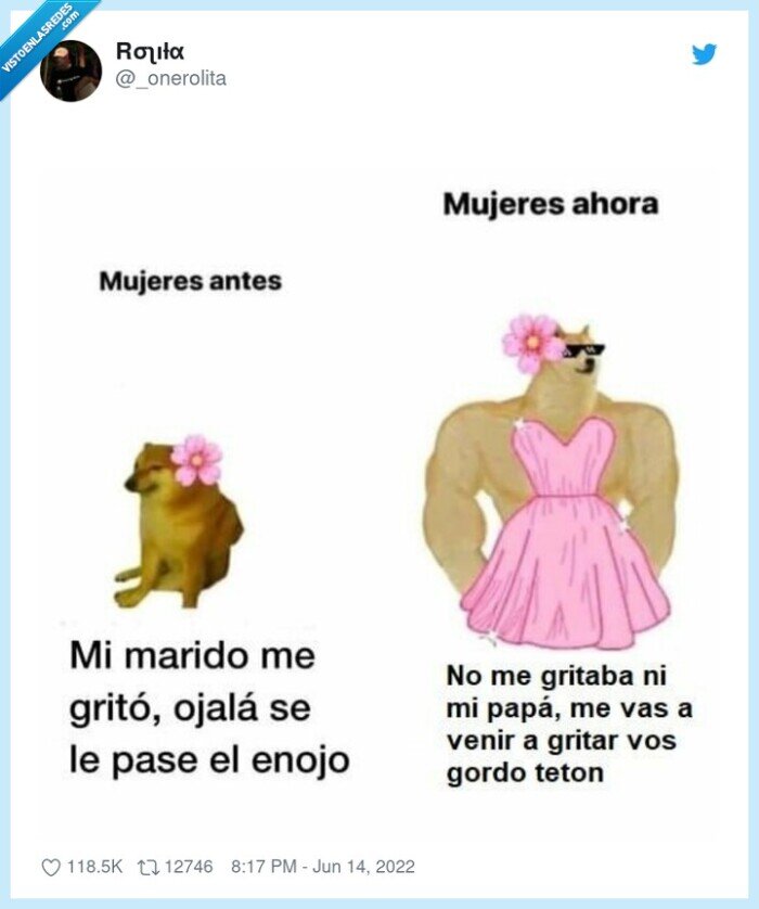 mujeres,doge,cheems