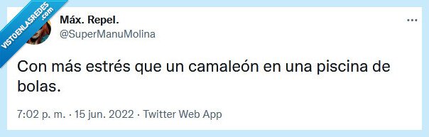 estrés,piscina,camaleón,bolas