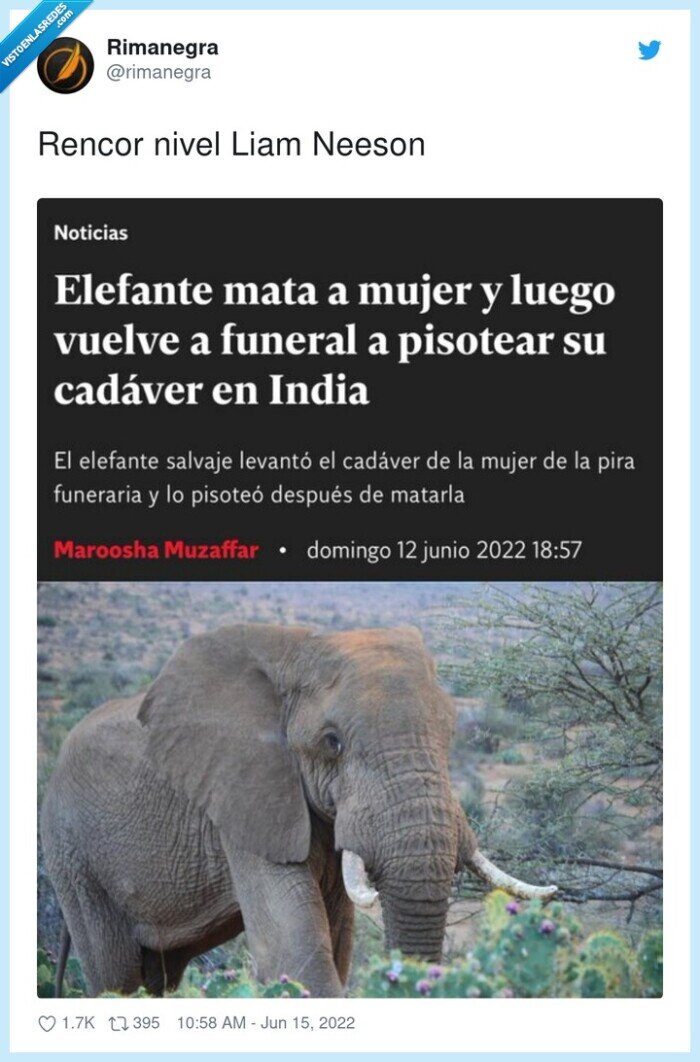 rencor,liam neeson,nivel,elefante,pisar