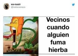 Enlace a Yo en cualquiera de los dos casos, por @nafarveneco