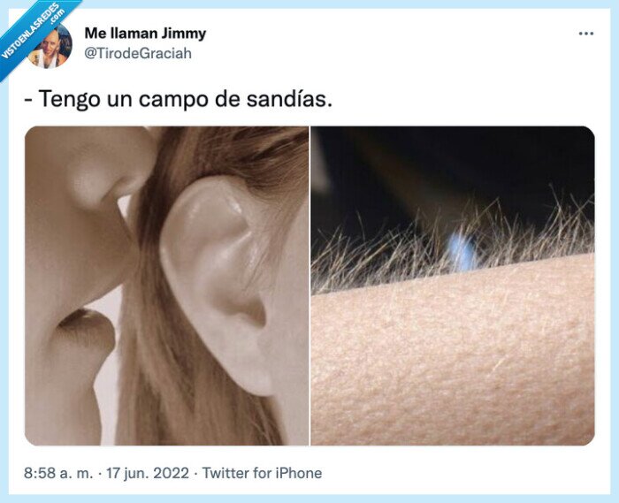 sandías,dinero,caras,lujo,campo