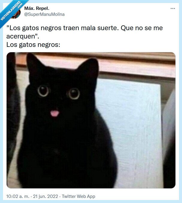 gato,mala,negro,suerte