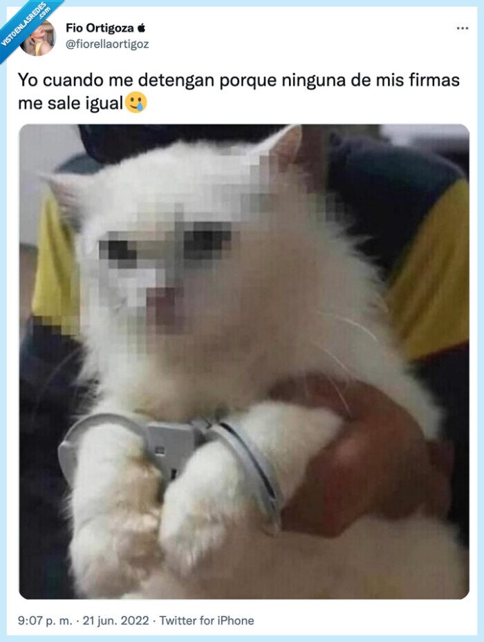 firma,distintas,policia,preso