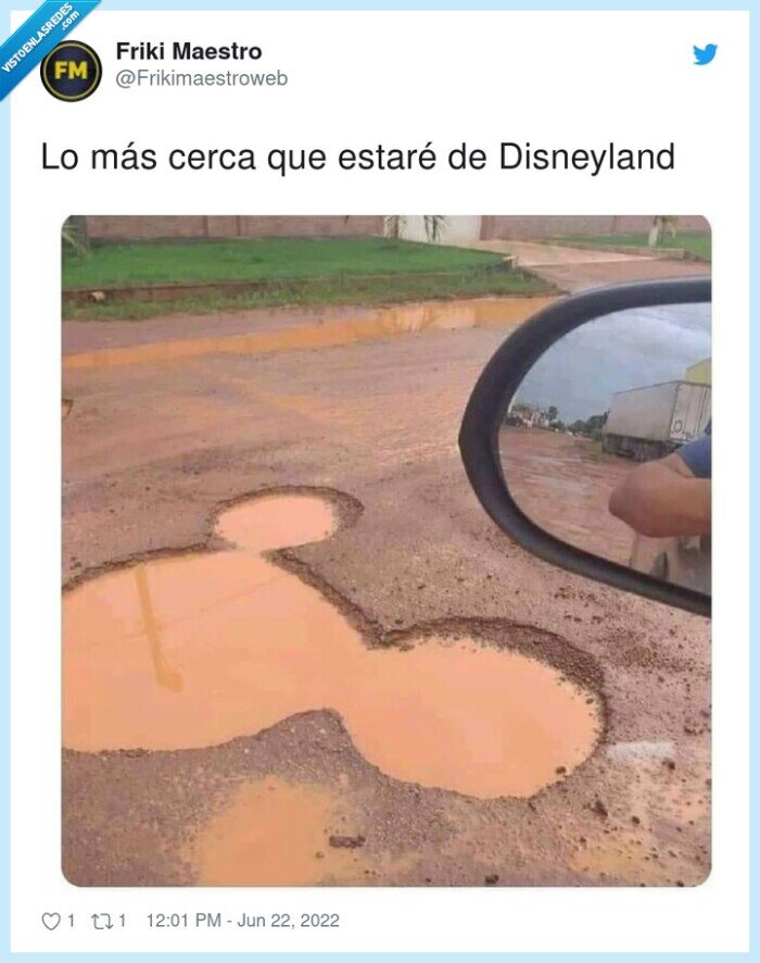 disneyland,charco,cerca