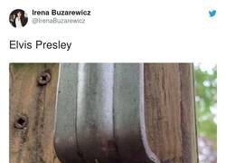 Enlace a ¿Elvis eres tú?, por @IrenaBuzarewicz