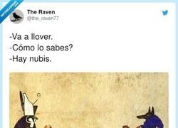 Enlace a ¿Ese chiste es legal?, por @the_raven77