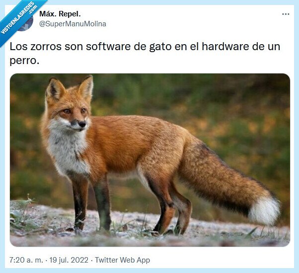 zorro,gato,perro,software,hardware