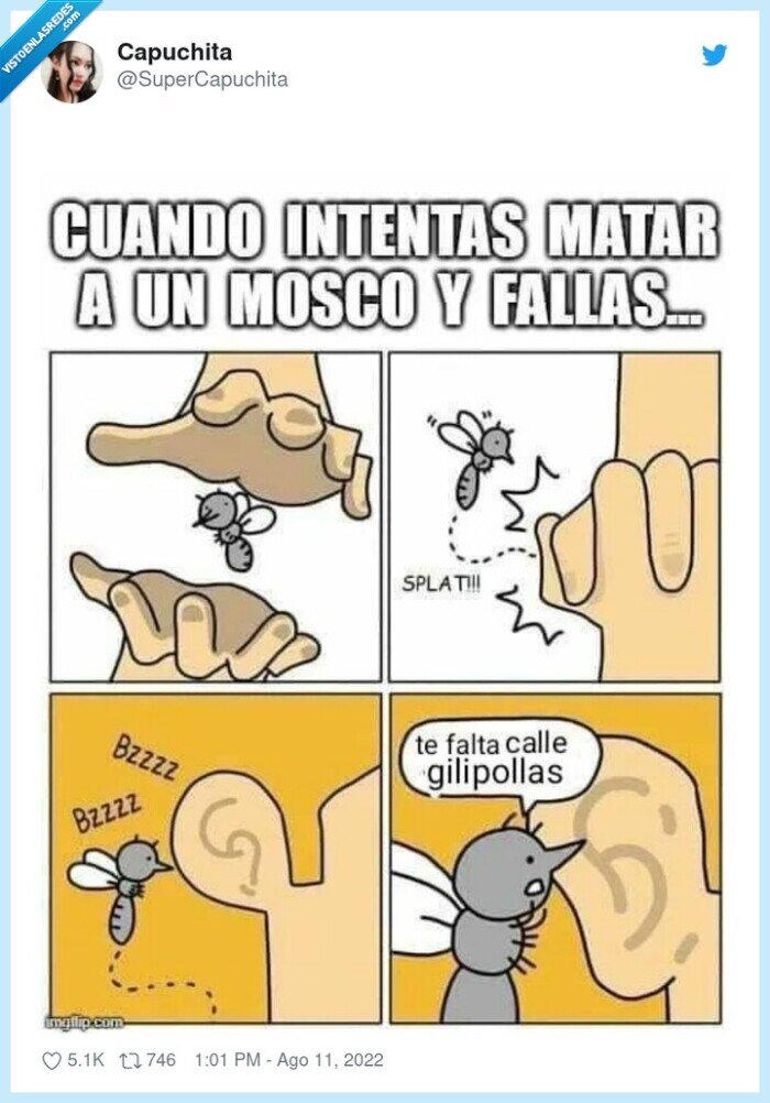 mosquito,oreja,fallar,te falta calle