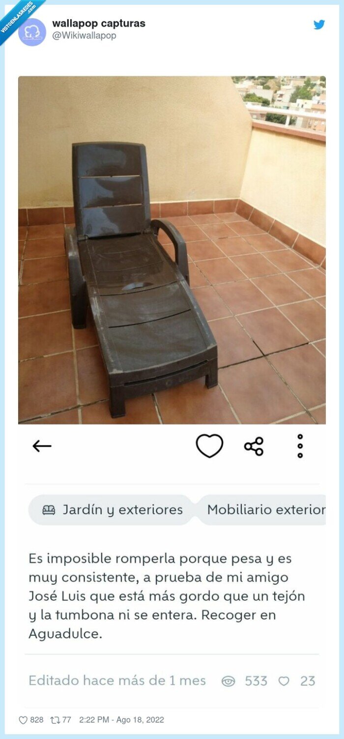 wallapop,venta,tumbona,gordos