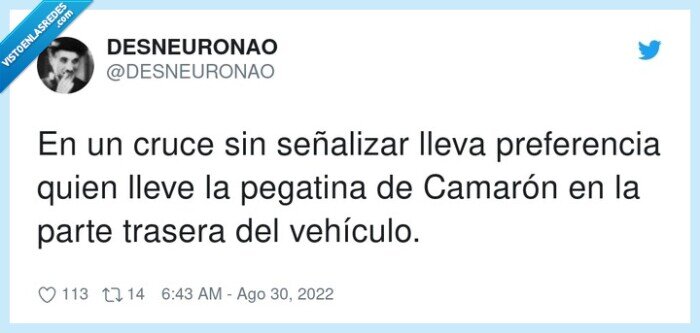 preferencia,señalizar,vehículo,pegatina,camarón,trasera