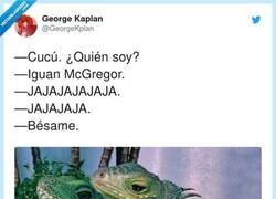 Enlace a Iguana loviu, por @GeorgeKplan