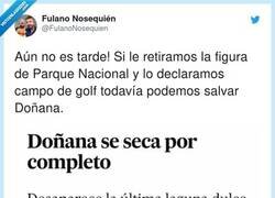 Enlace a Solo se salvaría como campo de golf, por @FulanoNosequien