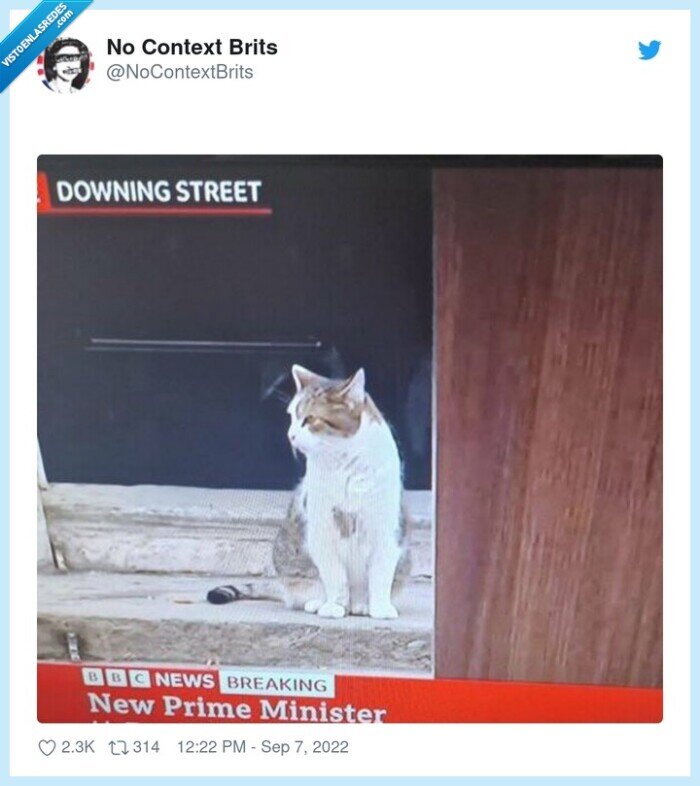 michi,gato,presidente,new prime minister