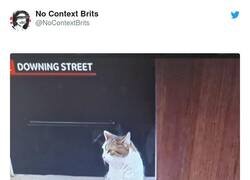 Enlace a El presidente que necesita nuestro país, por @NoContextBrits