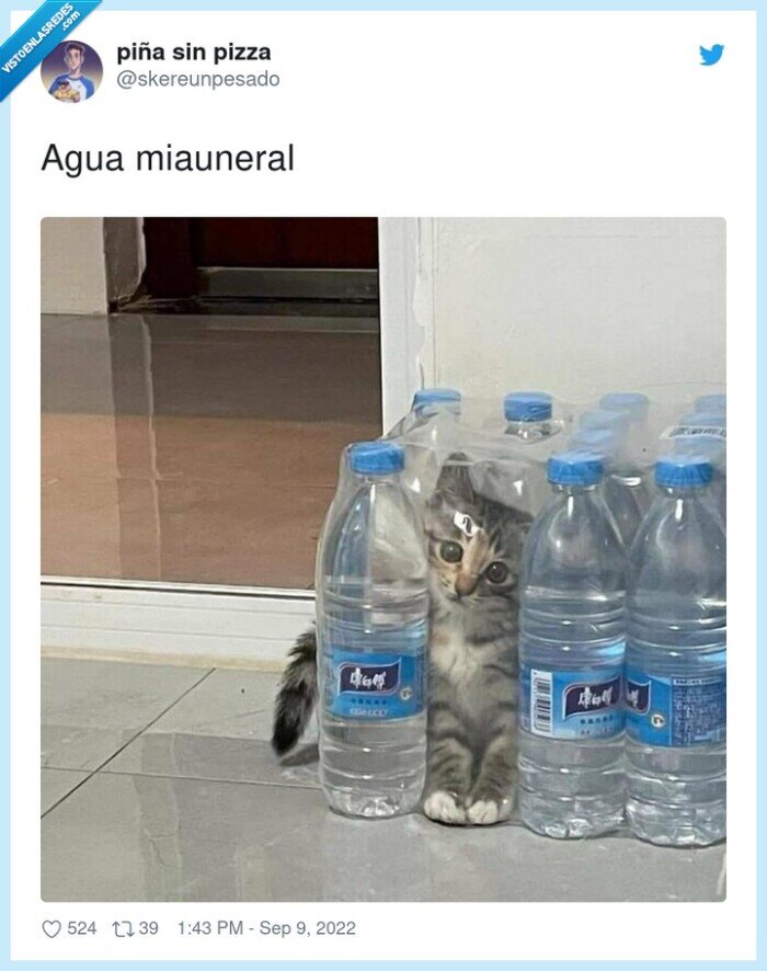 gato,agua mineral