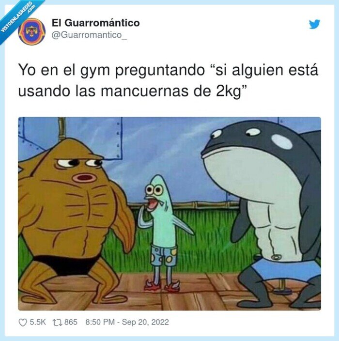 preguntar,mancuernas,gimnasio