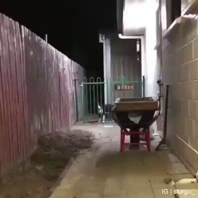 Mejor vef de hace un año
