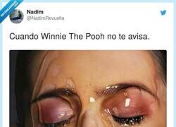 Enlace a Un poco de control Winnie, por @NadimRevuelta