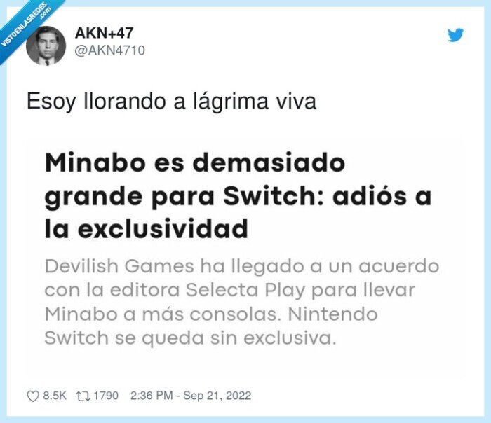 videojuego,switch,minabo