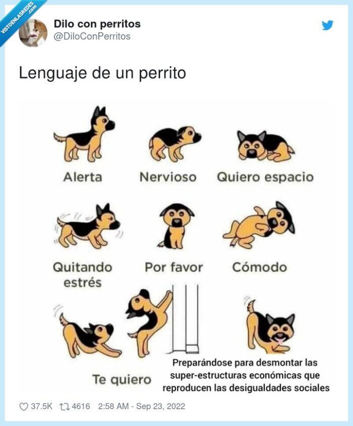 perro,posturas,lenguaje