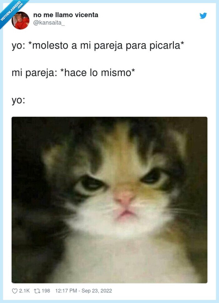 molestar,pareja,gato