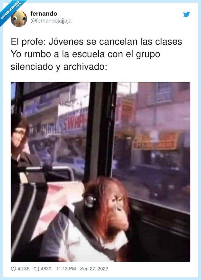 silenciado,archivado,jóvenes,cancelar,escuela,clases,grupo