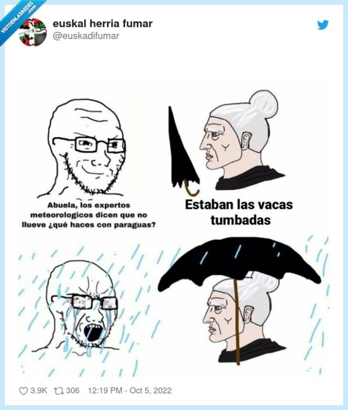 abuela,vacas tumbadas,lluvia