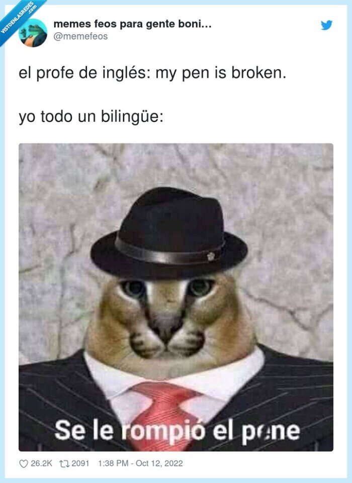 bilingüe,inglés,broken,profe