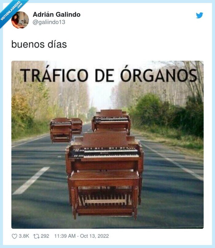 tráfico de órganos,organos