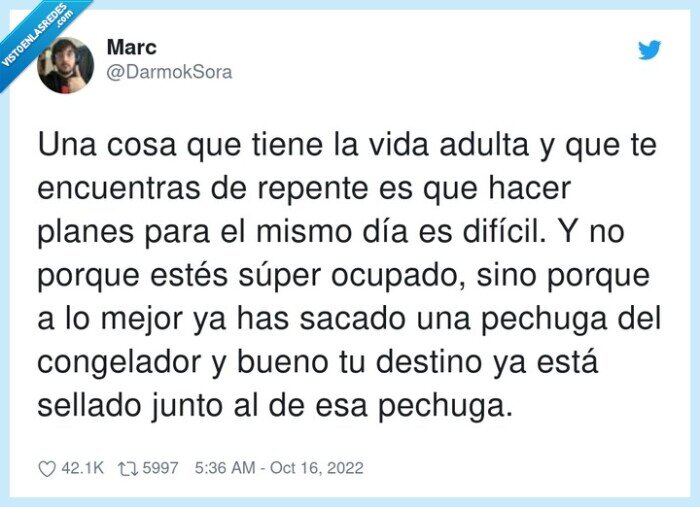 congelador,encuentras,difícil,ocupado,pechuga,sellado