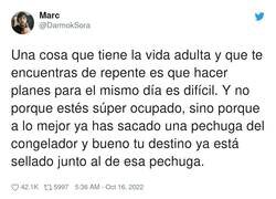 Enlace a Sé lo que es eso, por @DarmokSora