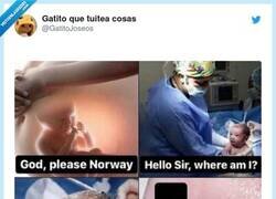 Enlace a Deseando nacer en Noruega y te plantas en Murcia, por @GatitoJoseos