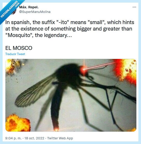 mosquito,mosco,sufijo