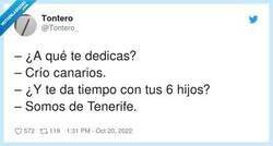 Enlace a Y si encima sus hijos son aficionados al Español, criaría canarios y periquitos, por @Tontero_
