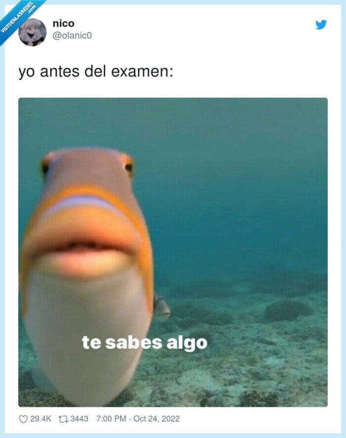 examen,antes,del